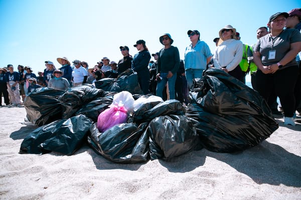 Recolectan más de 100 kilogramos de residuos en Macro Limpieza de playa El Comitán