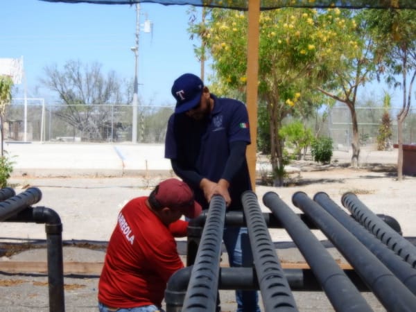 Ayuntamiento de La Paz impulsa en Los Dolores producción de alimentos sostenibles