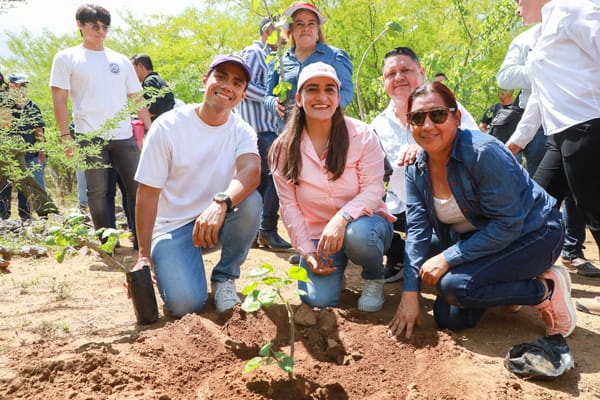 Se suma Ayuntamiento de La Paz a Jornada Nacional de Reforestación de Claudia Sheinbaum