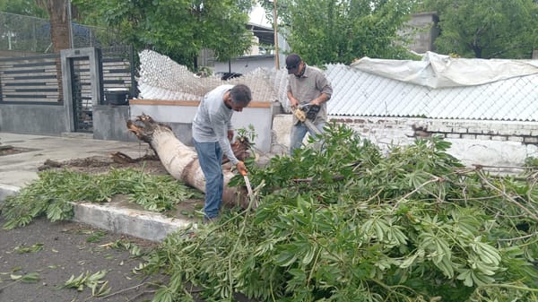 Continúan los trabajos de limpieza en el municipio de La Paz